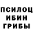 Псилоцибиновые грибы Psilocybe M1R4S1K